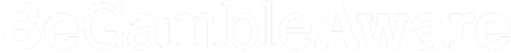 Partner 1